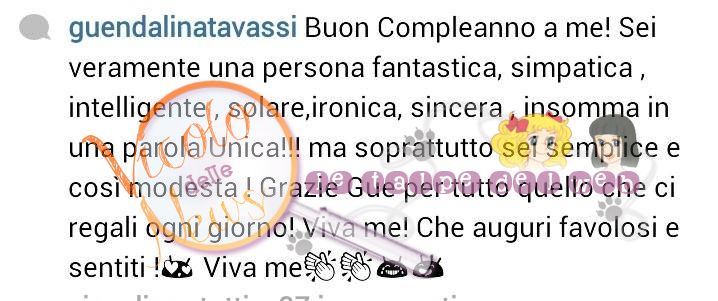 tavassi4