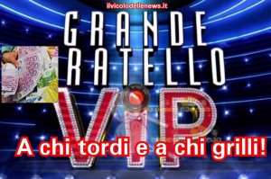 grande fratello vip cachet