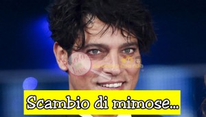 Gabriel Garko mimose