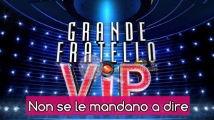 gfvip catfight