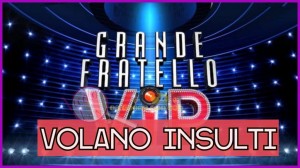 gfvip insulti