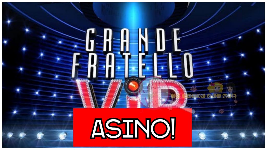 gfvip asino