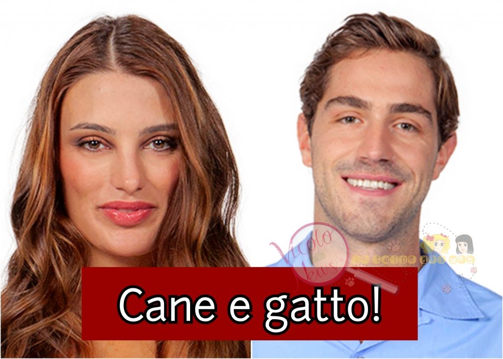 franceska pepe e Tommaso Zorzi gfvip