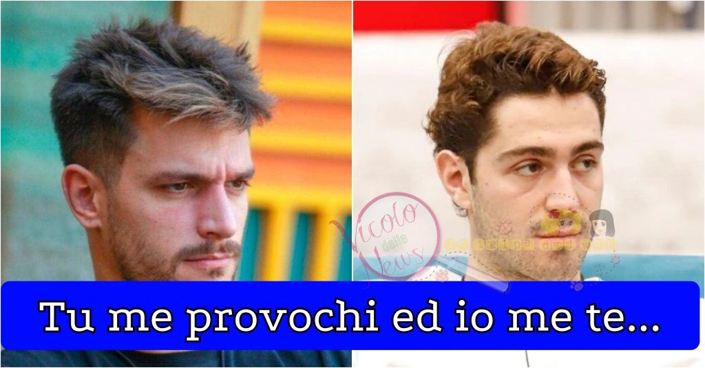 Andrea Zelletta vs Tommaso Zorzi gfvip