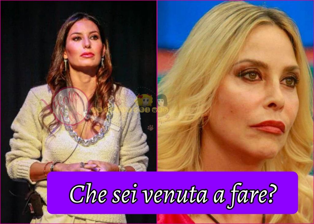 Elisabetta Gregoraci e Stefania Orlando gfvip