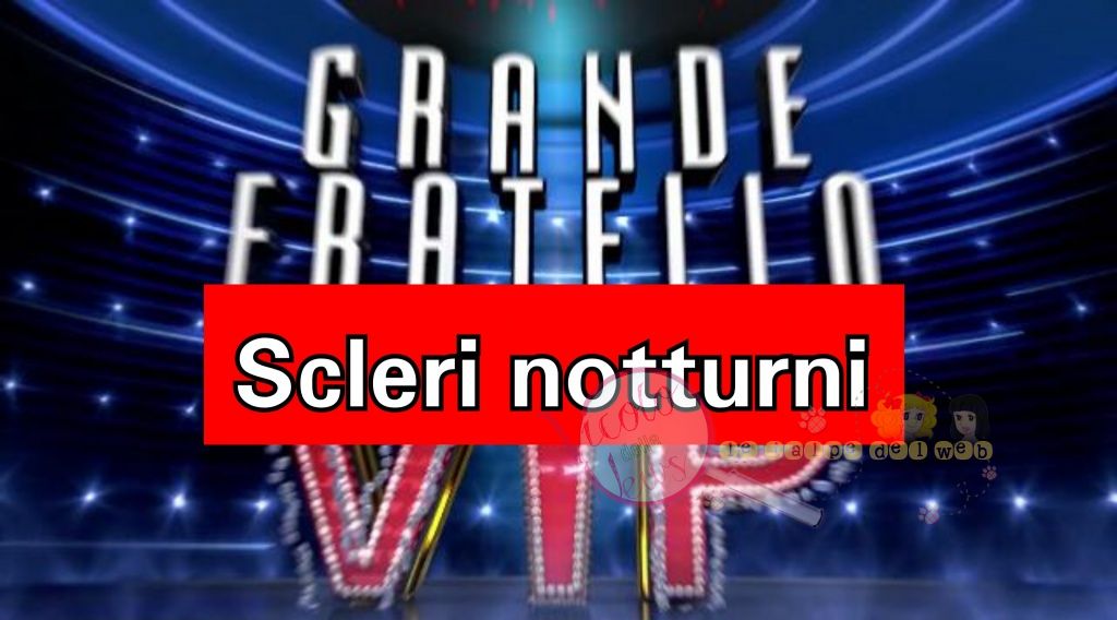 grande fratello Vip notte