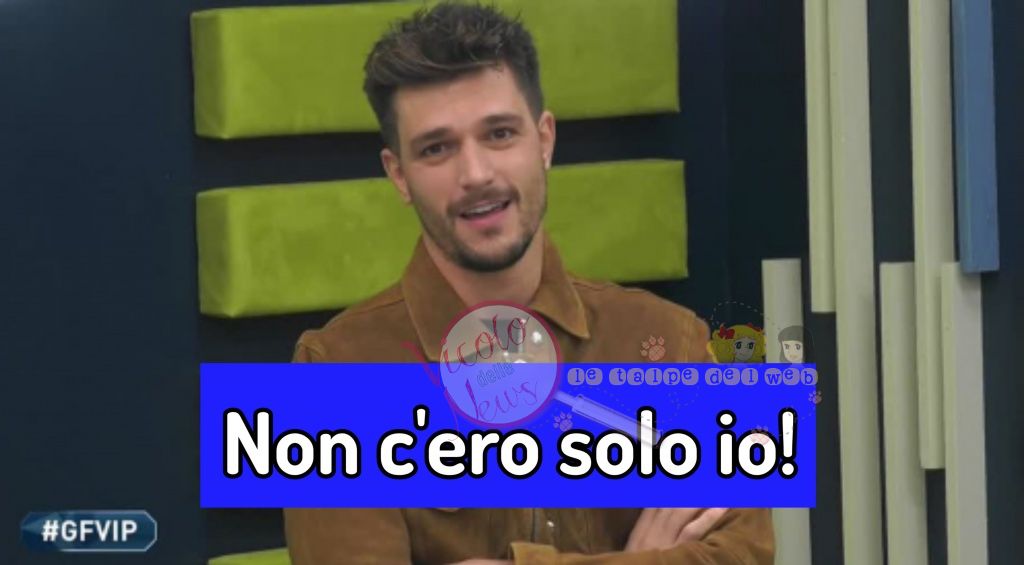 Andrea Zelletta grande fratello vip spoiler