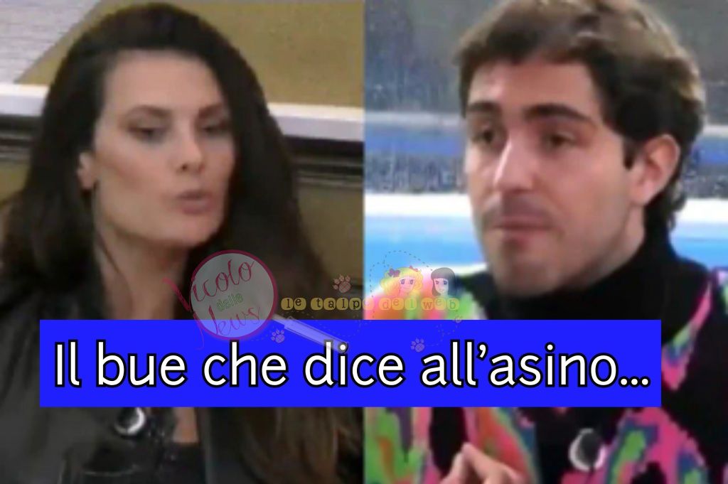 dayane Mello vs Tommaso Zorzi gfvip