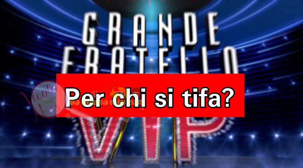 gfvip tifo